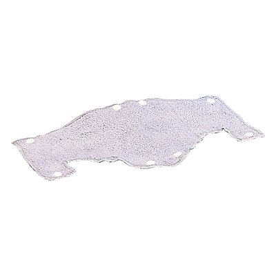 SWEATBAND TERRY CLOTH BAGGED W/INSTR